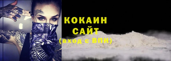 соль ск Алзамай