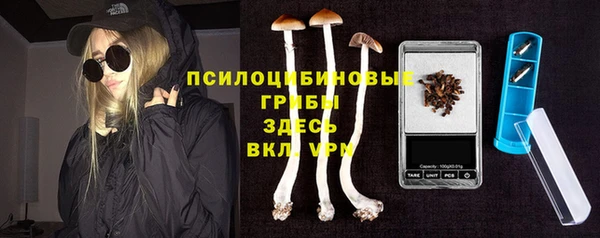 соль ск Алзамай